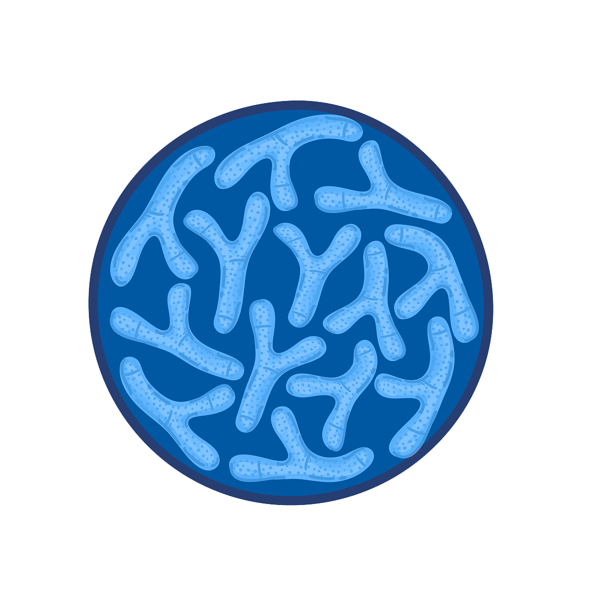 Probiotyki w proszku Lactobacillus Bifidobacterium Lactis