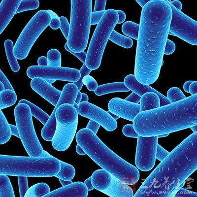 Zapewnić Poprawia immunologicznego Lactobacillus reuteri Powder Probiotyki Protect żołądek