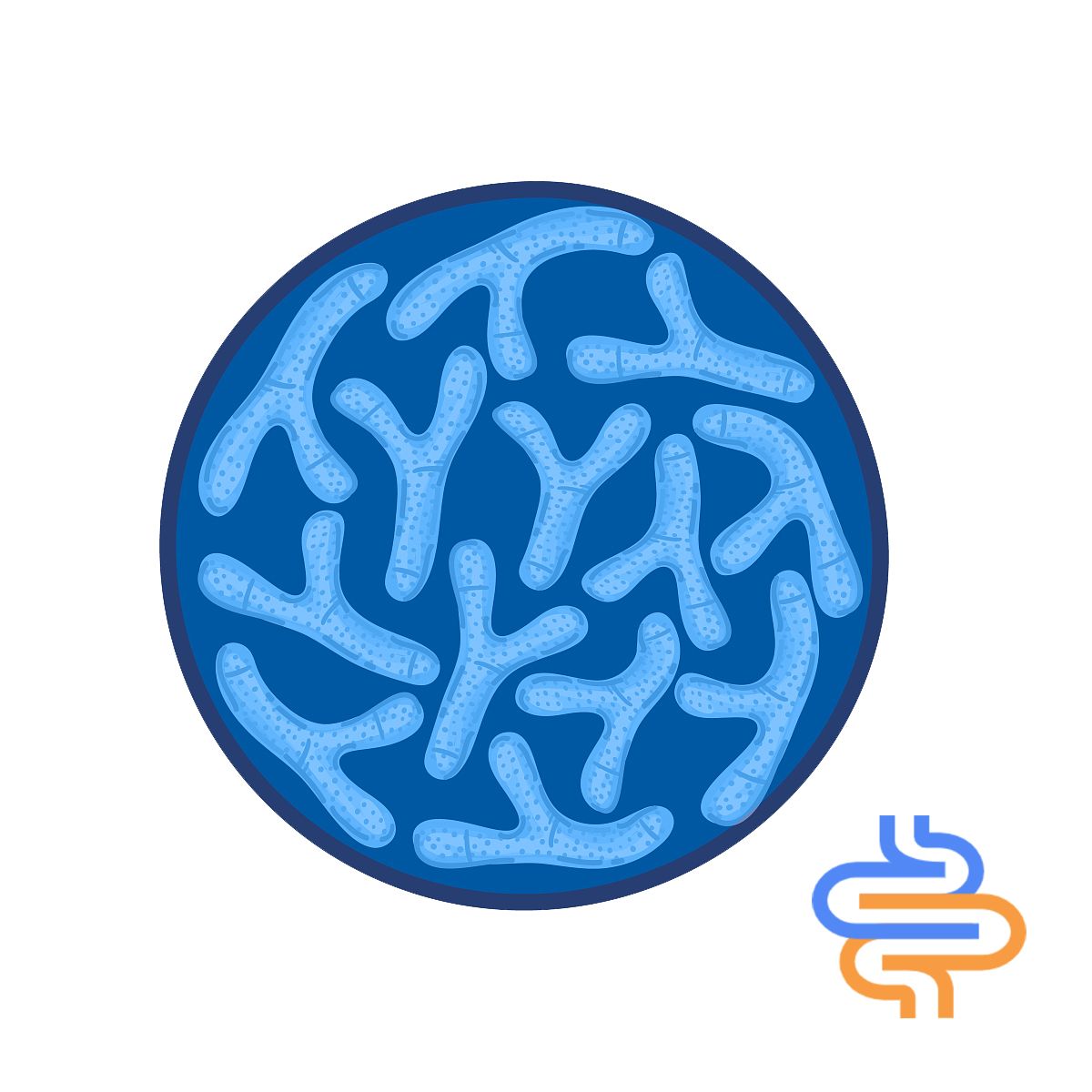 Single Probiorics So Food Gradobacterium Breve Proszek